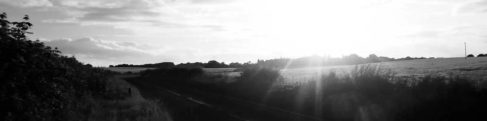 法治之光，照亮前行之路