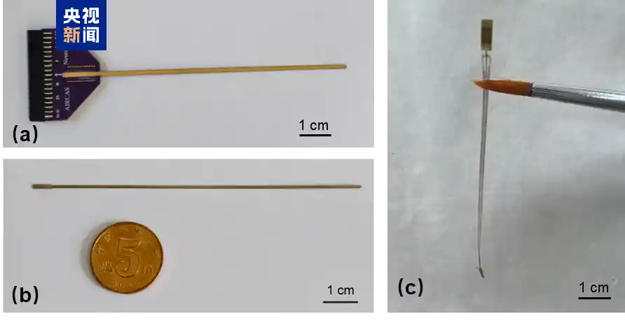 脑机接口新突破:精准定位肿瘤边界,开启神经手术新时代